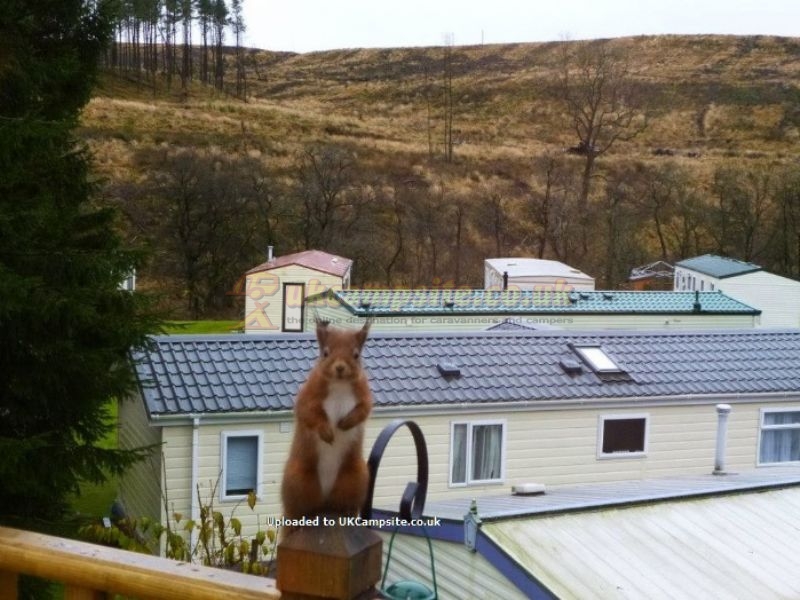 Corriefodly Holiday Park