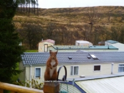 Corriefodly Holiday Park