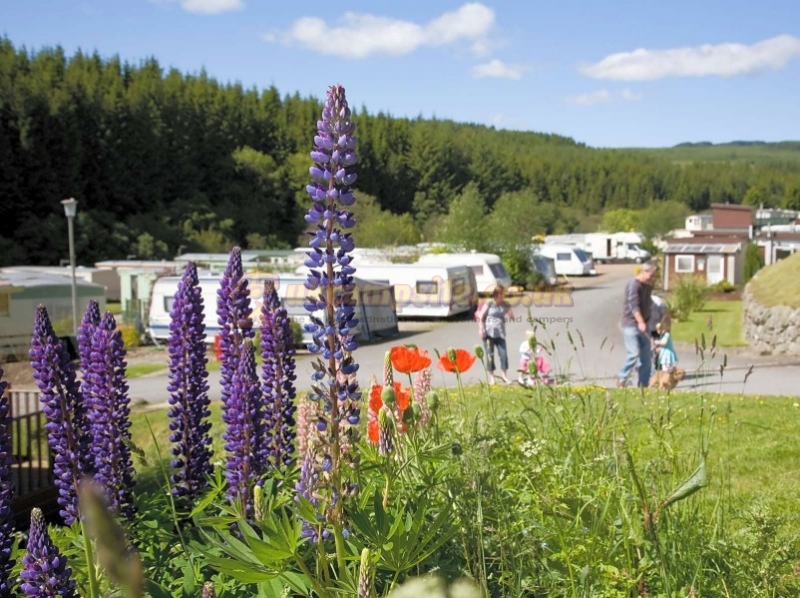 Corriefodly Holiday Park