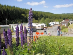Corriefodly Holiday Park