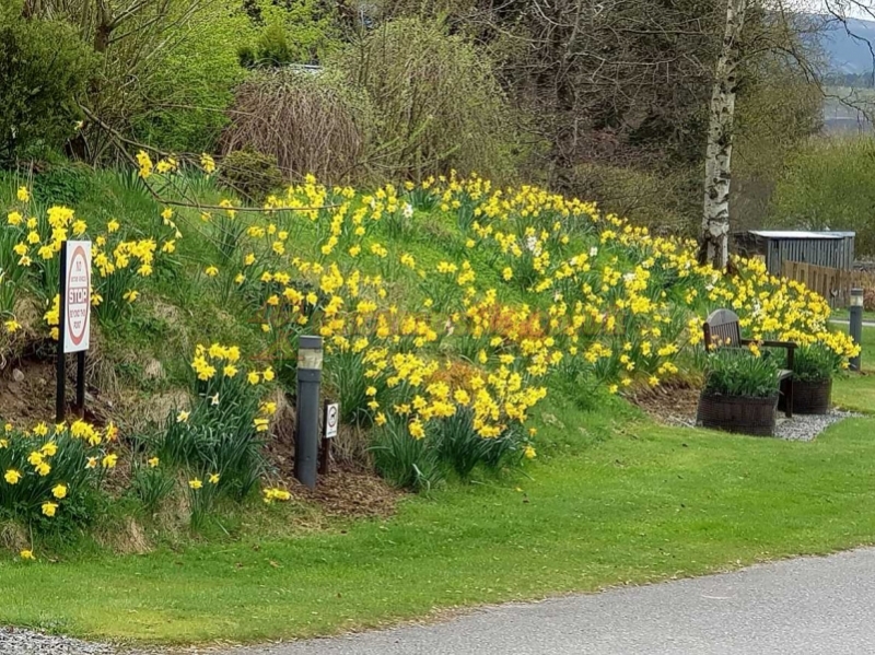 Feughside Caravan Park