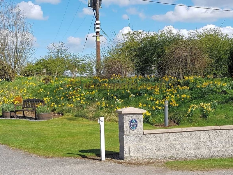 Feughside Caravan Park