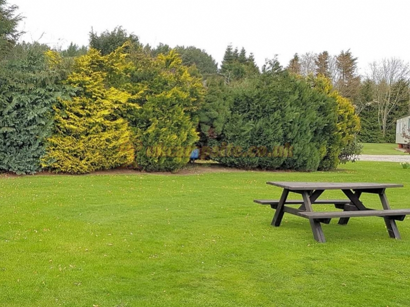 Feughside Caravan Park