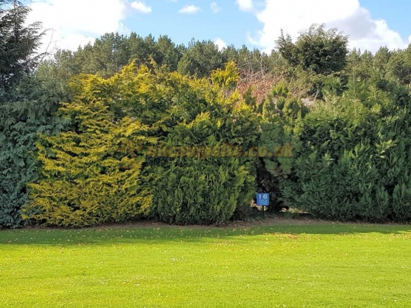 Feughside Caravan Park
