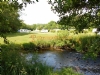 The Green Caravan Park
