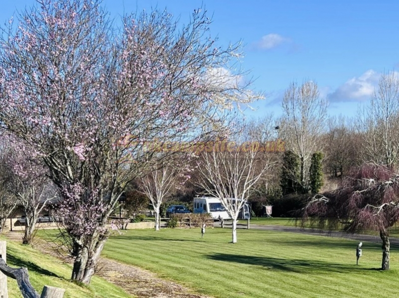 Appuldurcombe Gardens Holiday Park