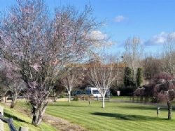 Appuldurcombe Gardens Holiday Park