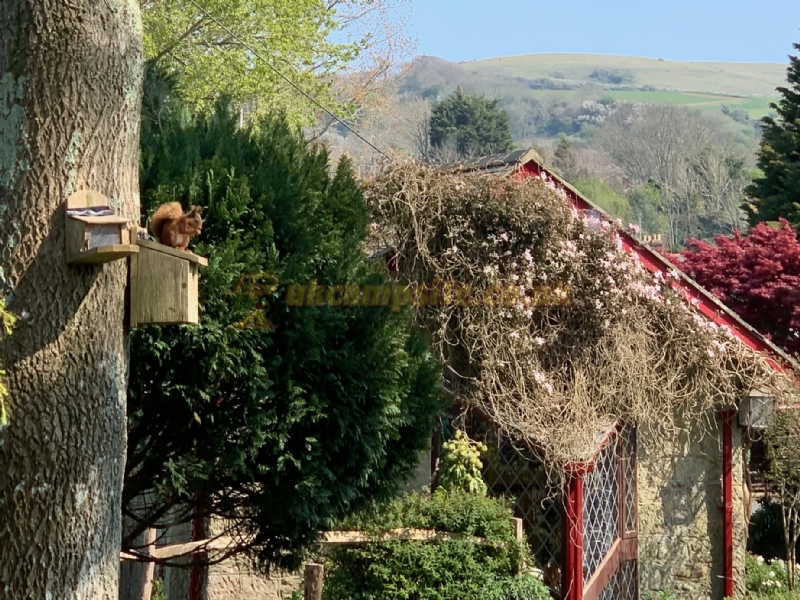 Appuldurcombe Gardens Holiday Park