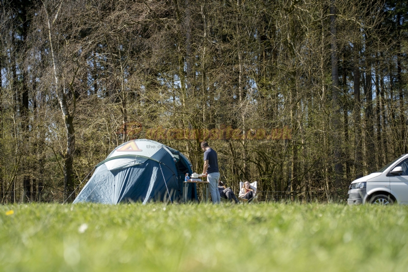 Bracelands Campsite