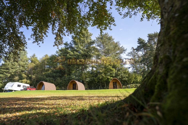 Bracelands Campsite