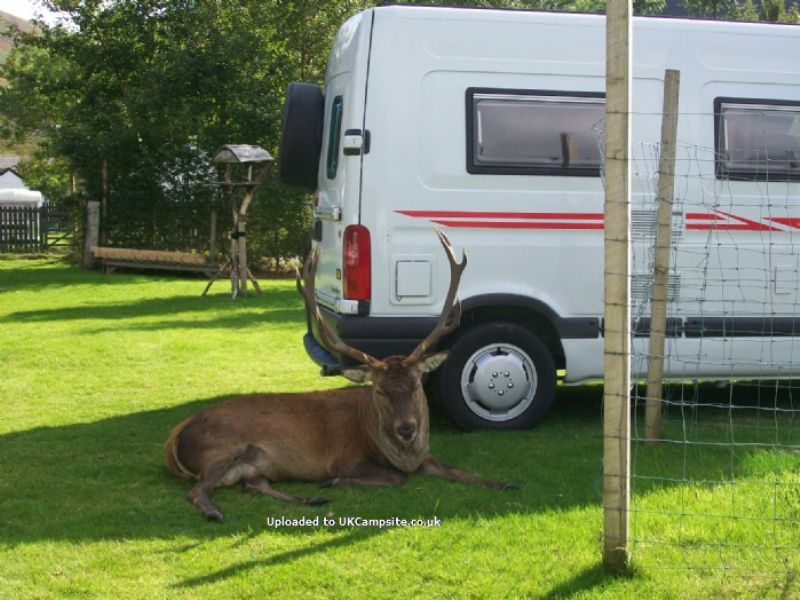Lochranza Campsite