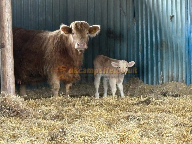 Dulhorn Farm Holiday Park