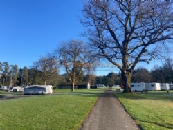 Callander Woods Holiday Park