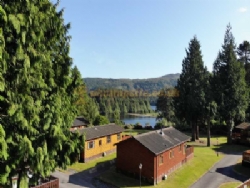 Faskally Woods Holiday Park