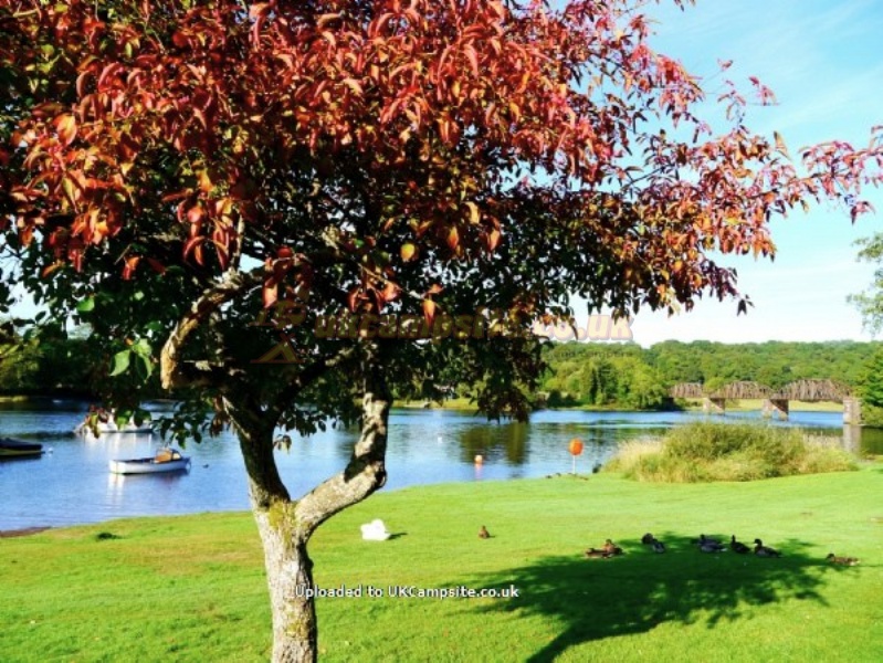 Loch Ken Holiday Park