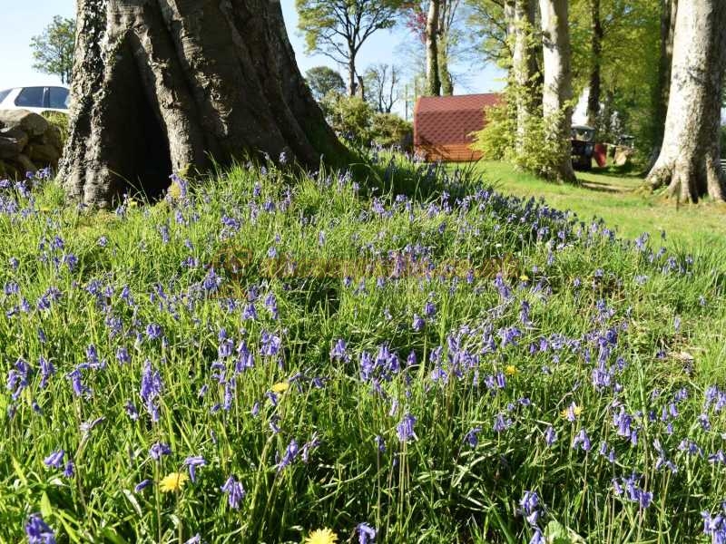 Plas Gwyn Caravan Park
