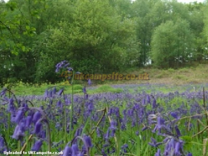 Quarry Walk Park Lodges And Caravan Site