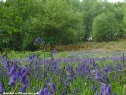 Quarry Walk Park Lodges And Caravan Site