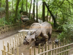 Woodlands Caravan And Camping Park