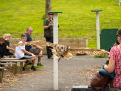 Woodlands Caravan And Camping Park