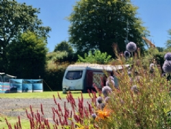 Woodlands Caravan And Camping Park