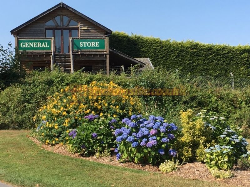 Woodlands Caravan And Camping Park