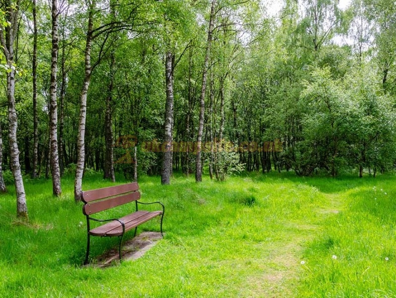Drumshademuir Caravan And Camping Park