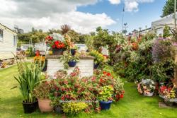 Peewit Caravan Park