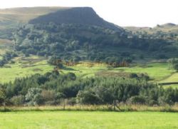 Greenacres Camping And Caravan Site