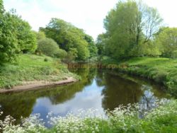 Wyreside Farm Park