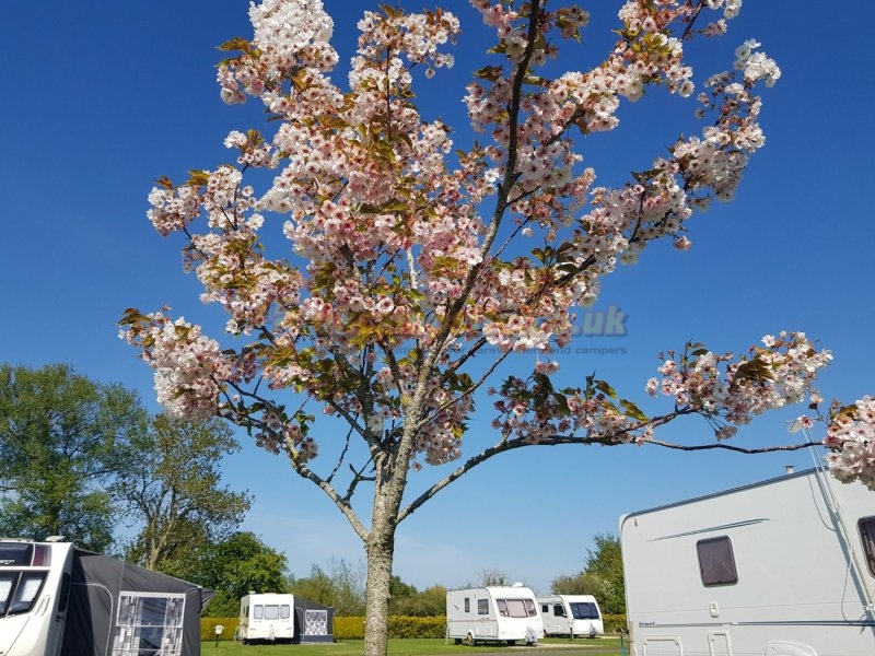 Cripps Farm Caravan Park
