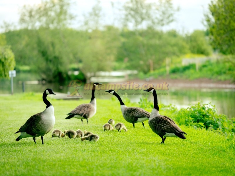 Stratford Parks Riverside Holidays