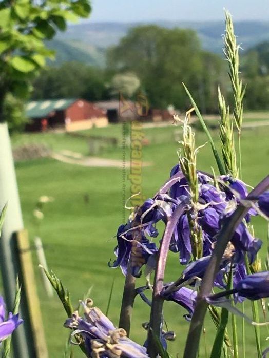 Studfold Caravan And Camping Park