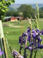 Studfold Caravan And Camping Park