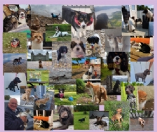 Argyll Caravan Park