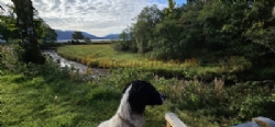 Argyll Caravan Park
