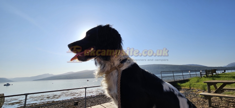 Argyll Caravan Park