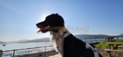 Argyll Caravan Park