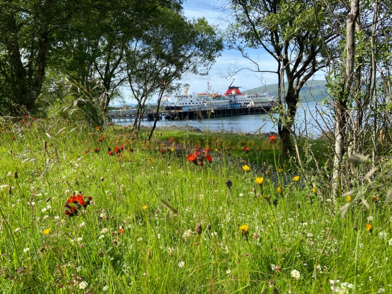 Shieling Holidays Mull Ltd