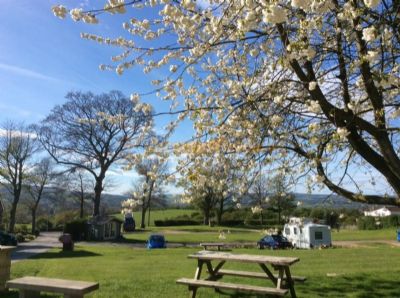 Clarion Lodge Campsite and Wigwams