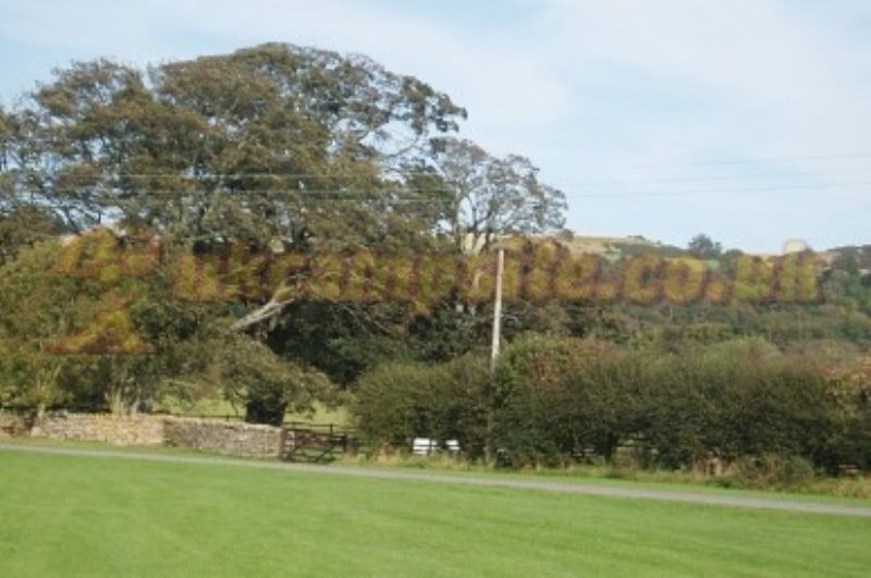 Doe Park Caravan Site