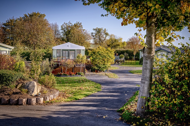 Wayside Holiday Park