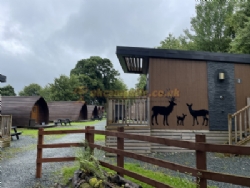 Woodclose Caravan Park