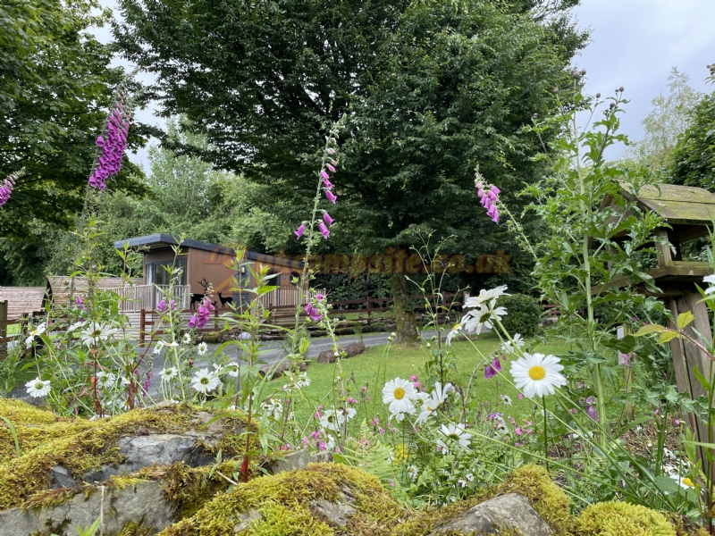 Woodclose Caravan Park