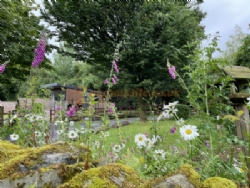 Woodclose Caravan Park