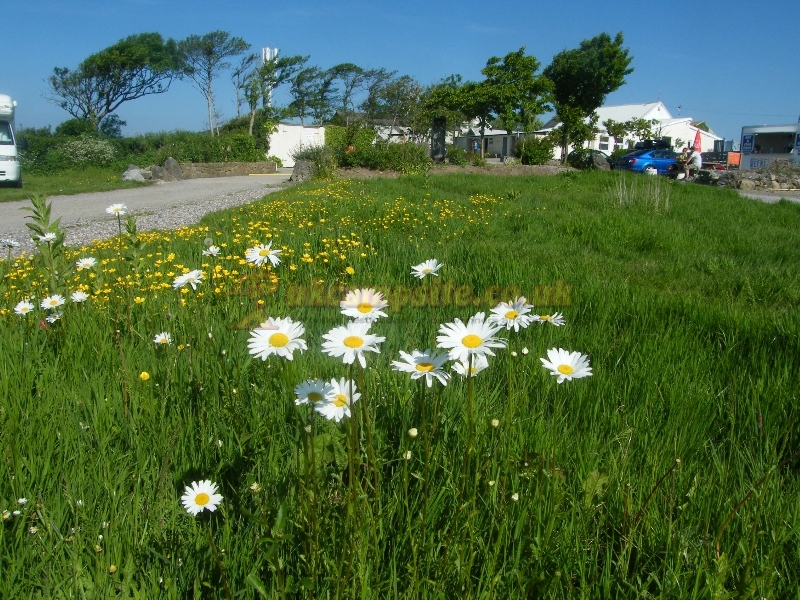 Pitton Cross Caravan And Camping Park