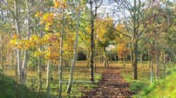 Rutland Caravan And Camping Site
