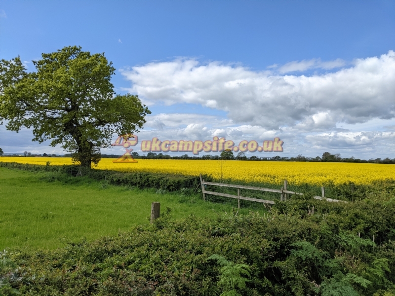 Black Bull Caravan Park