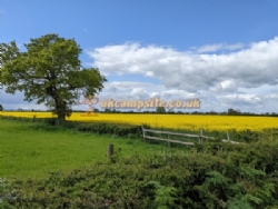 Black Bull Caravan Park