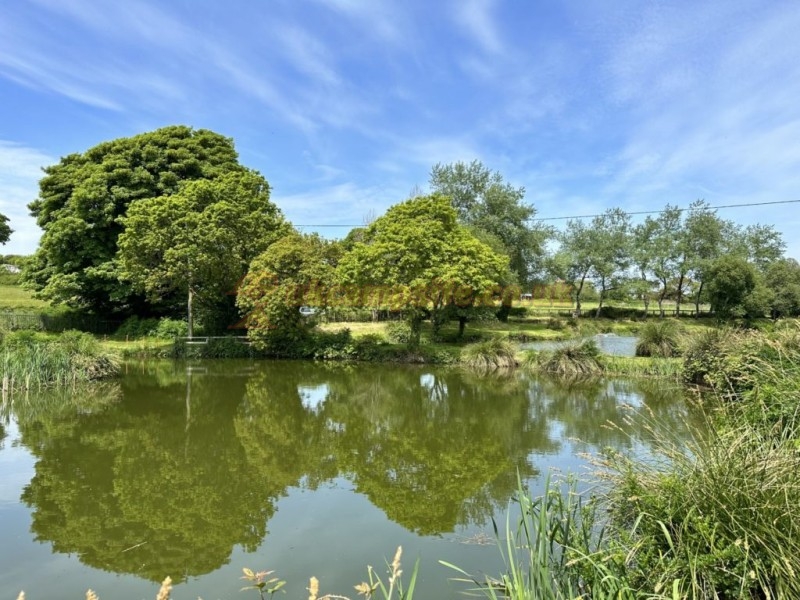 Meadow Lakes Holiday Park